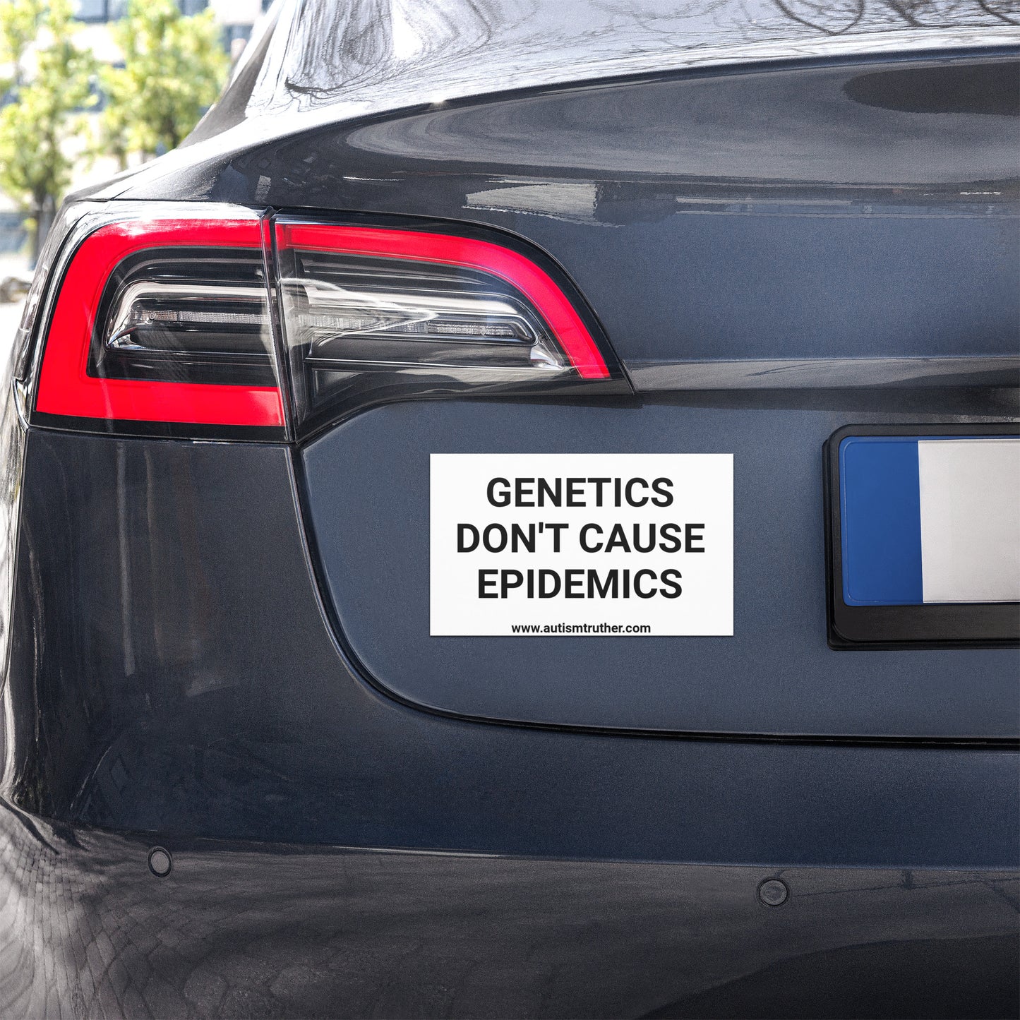 Genetics Don't Cause Epidemics Car Magnet