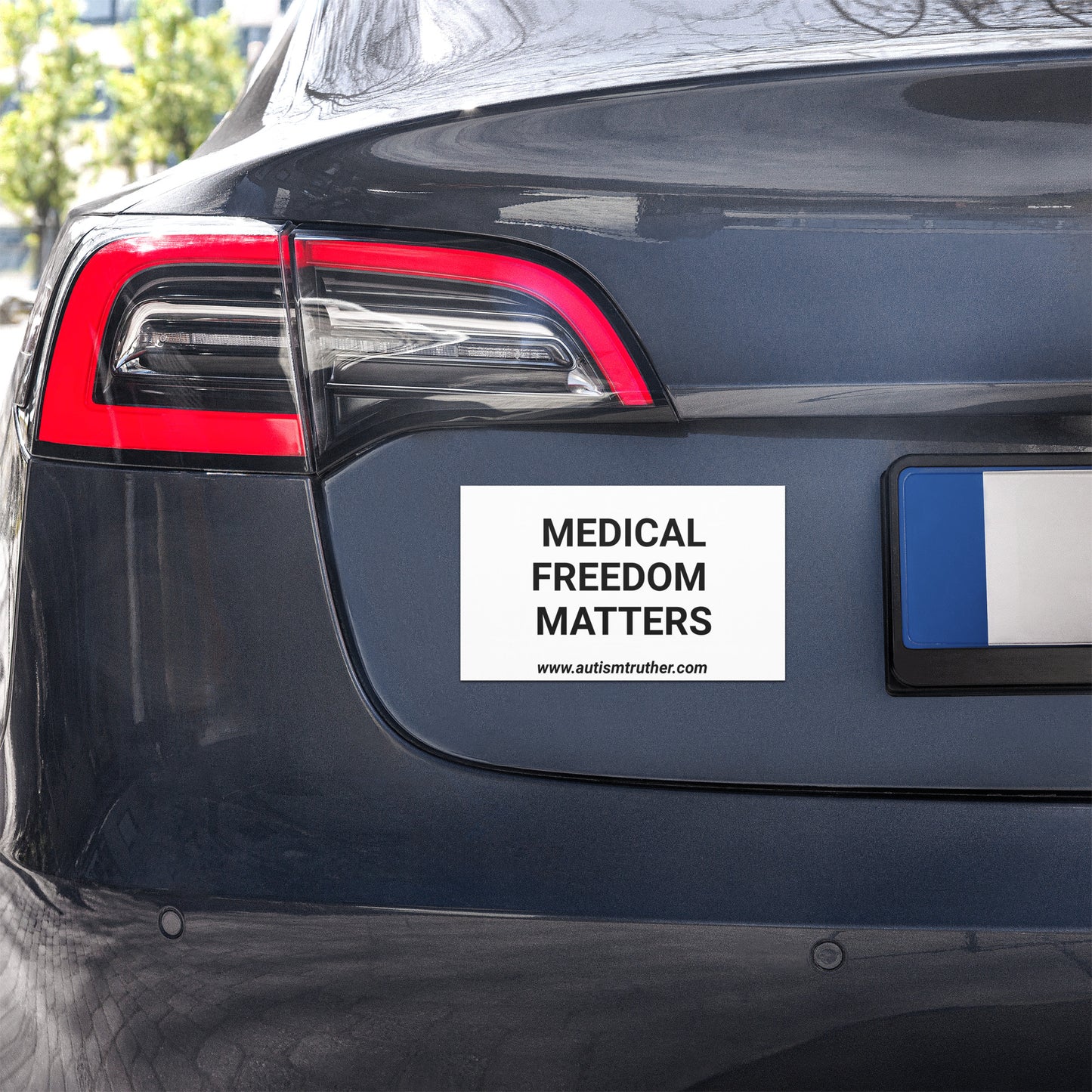 Freedom To Choose Car Magnet