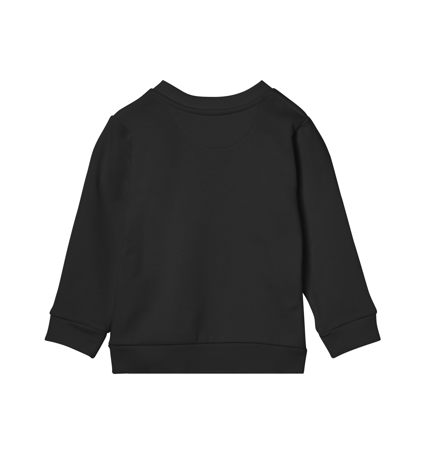 Nonspeaking But Brilliant Kids Organic Sweatshirt